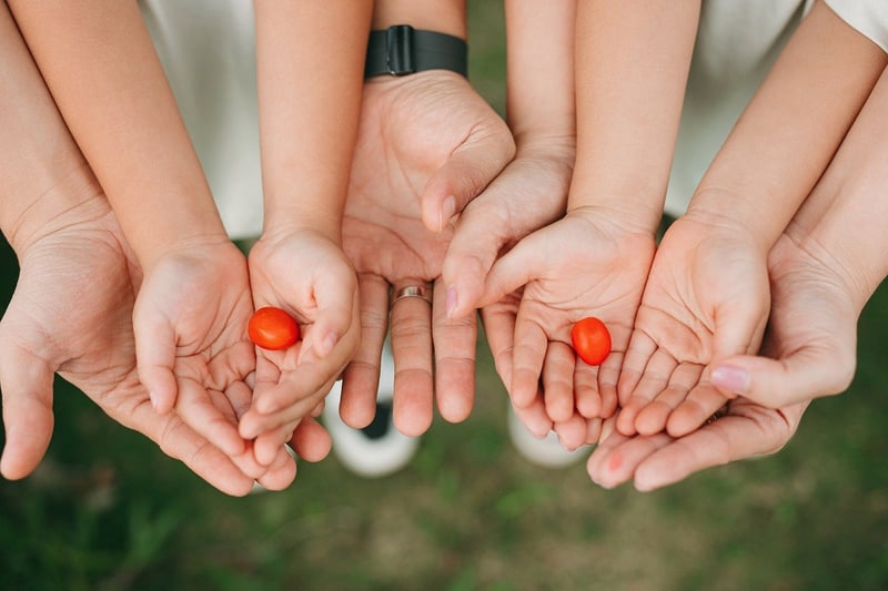 Collaborative Gardens